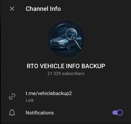 The companion channel t[.]me/vehiclebackup2