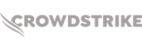 Crowdstrike grey logo