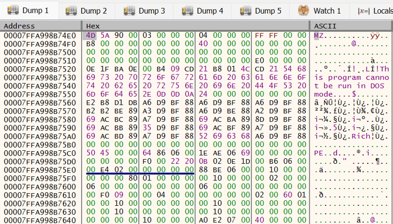 Unpacked RAT in memory - STX RAT