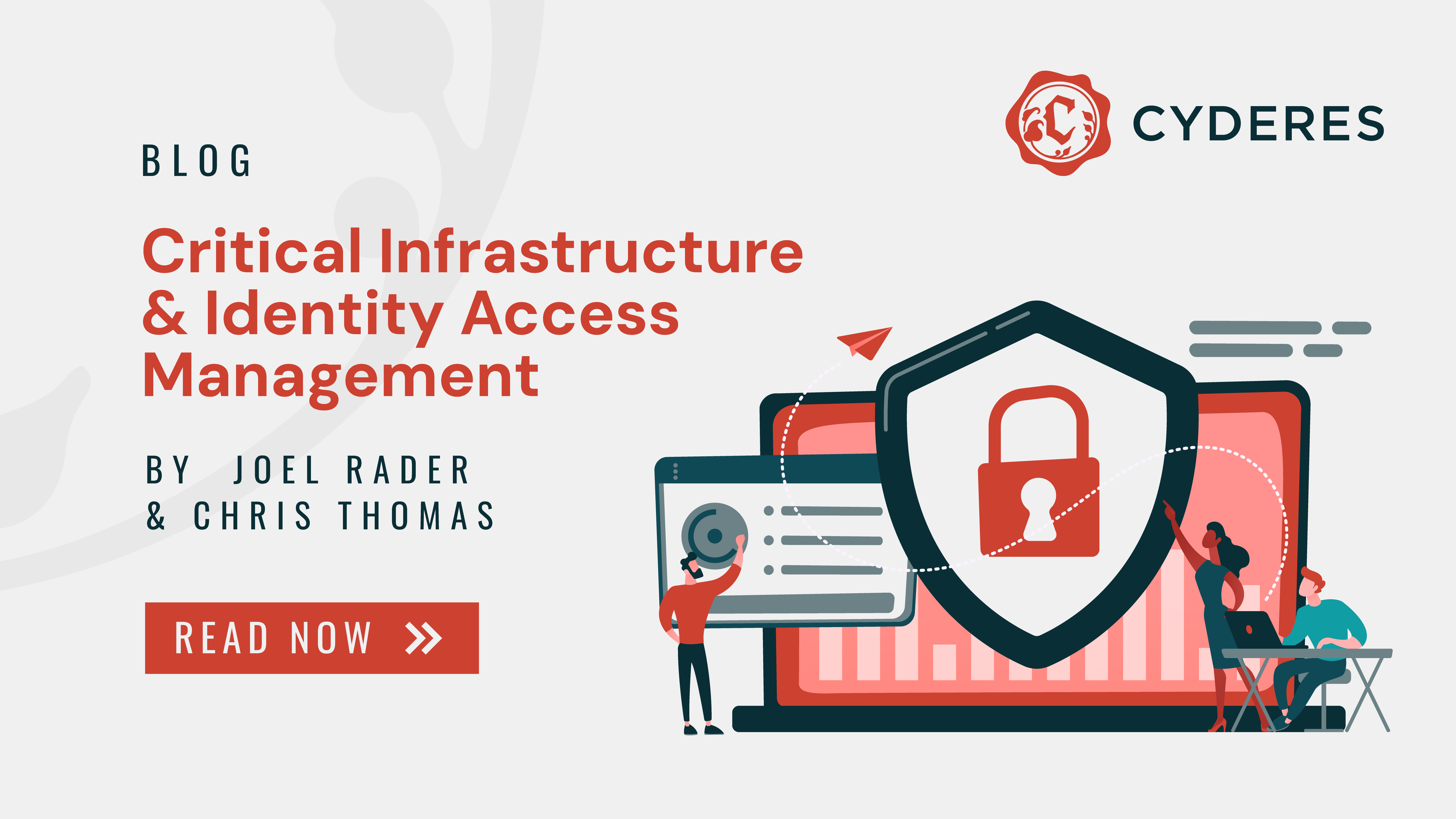 Critical Infrastructure and Identity Access Management