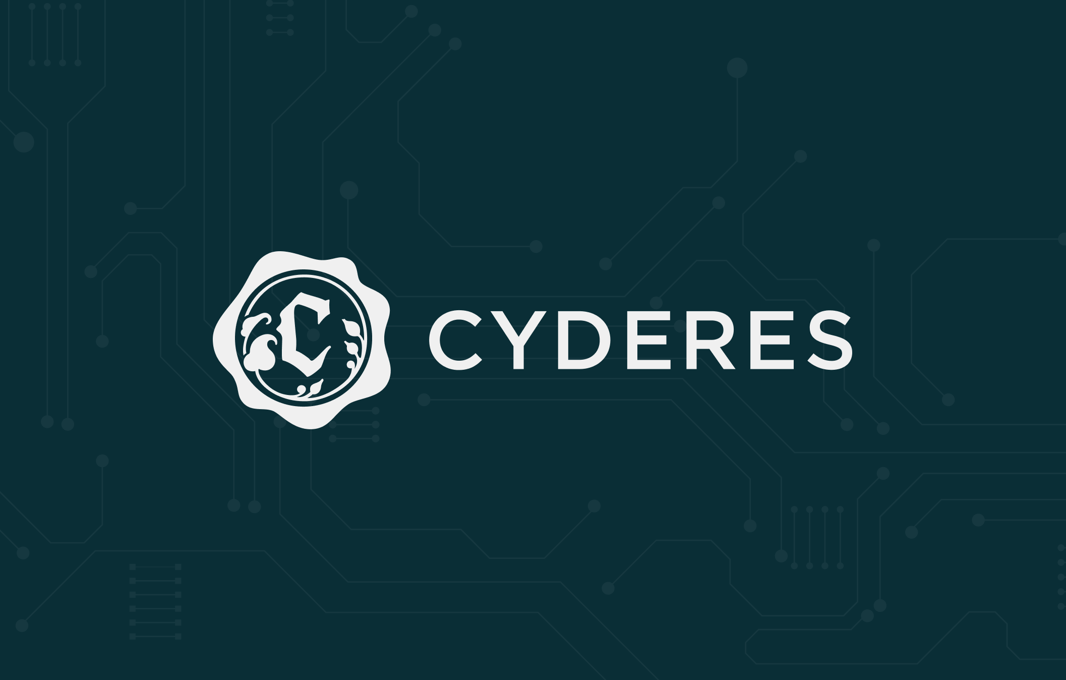 Cyber CEO: Leading Cybersecurity Conversations Within Your Enterprise